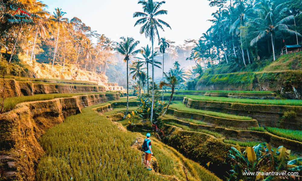 Điểm check in đẹp nhất Bali - Thái An Travel - 15