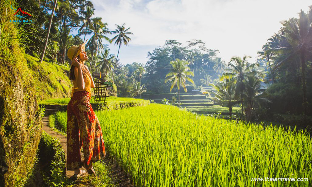 Du lịch Bali tự túc giá tốt- Thái An Travel 