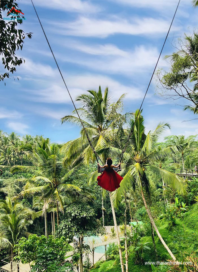 Bali Swing - Thái An Travel - 7