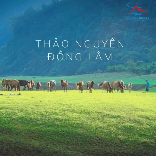 Du lịch thảo nguyên Đồng Lâm Lạng Sơn - Thái An Travel