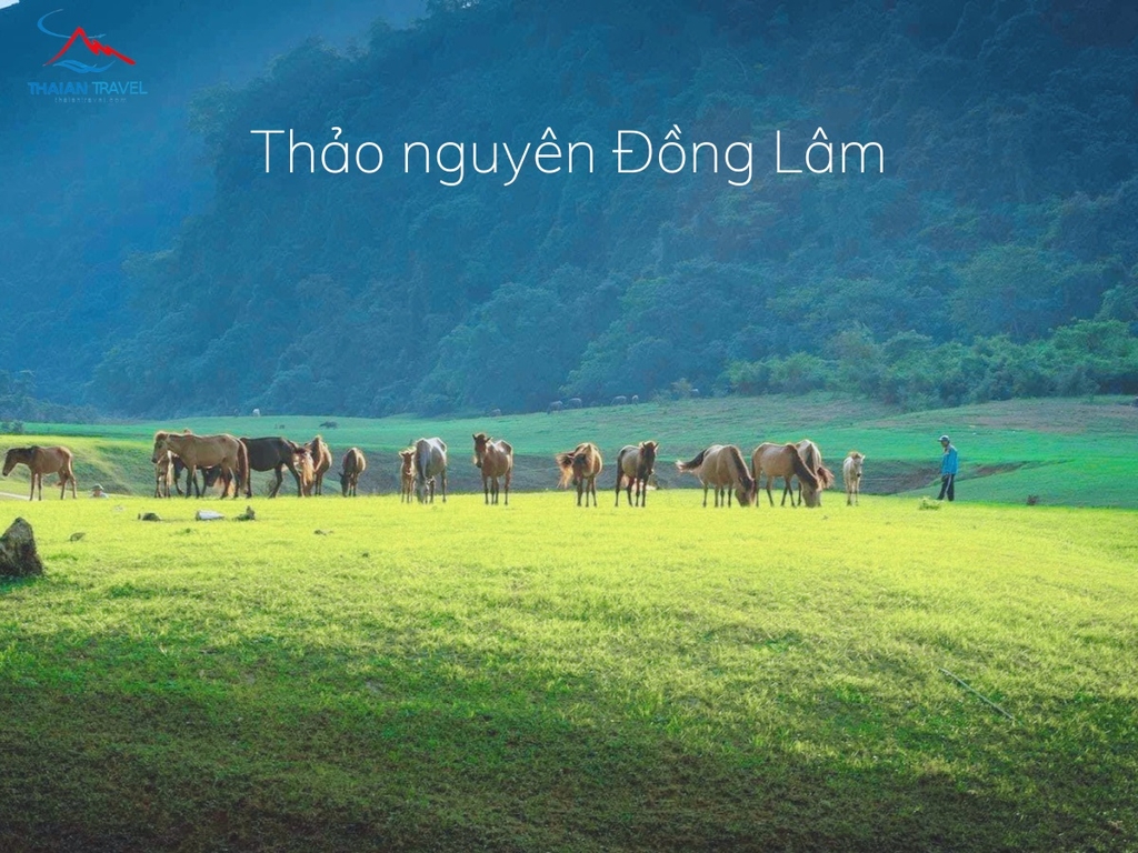 Du lịch Thảo Nguyên Đồng Lâm - Thái An Travel - 1