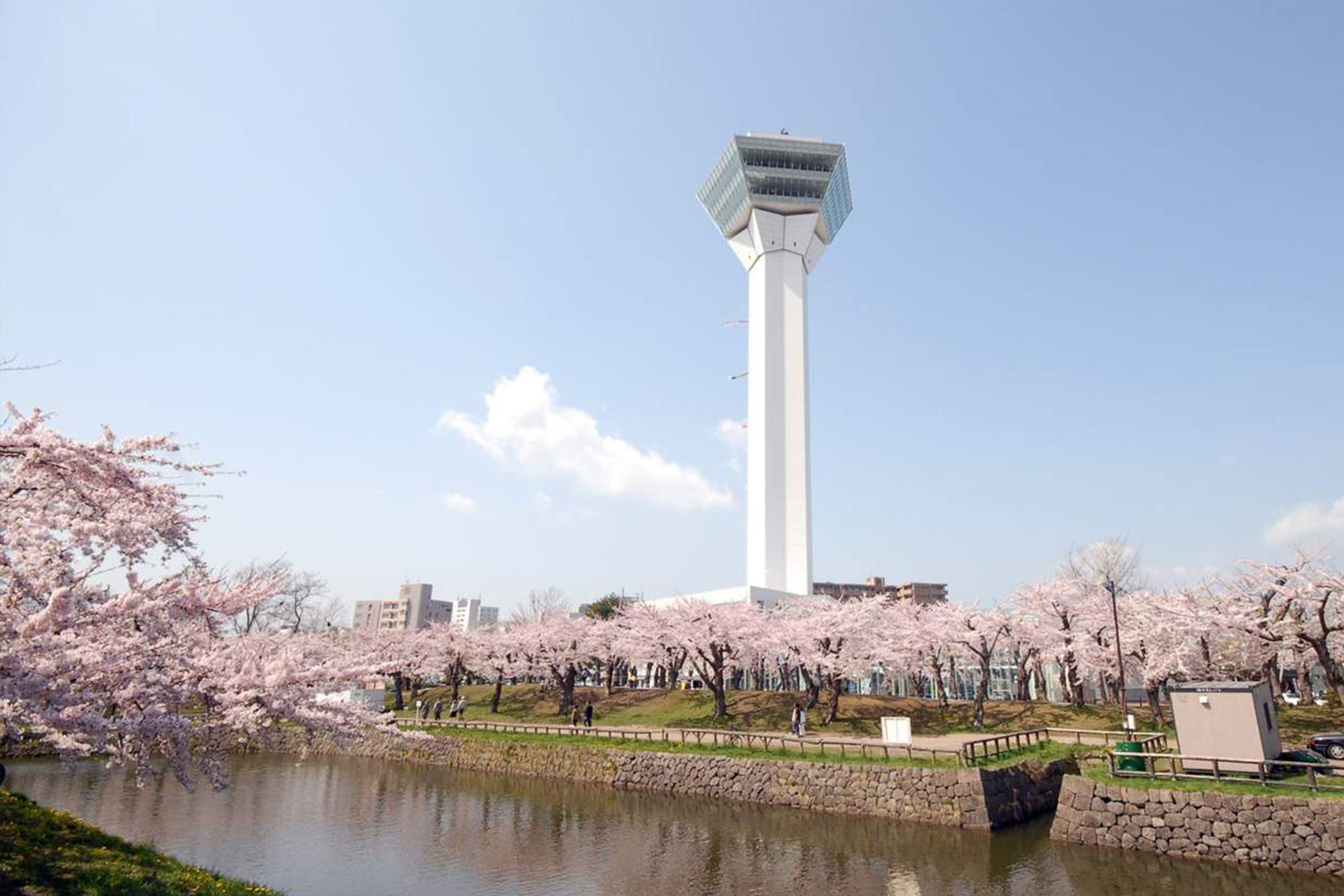 TOP các địa điểm ngắm hoa anh đào ở Nhật - Thái An Travel - 13