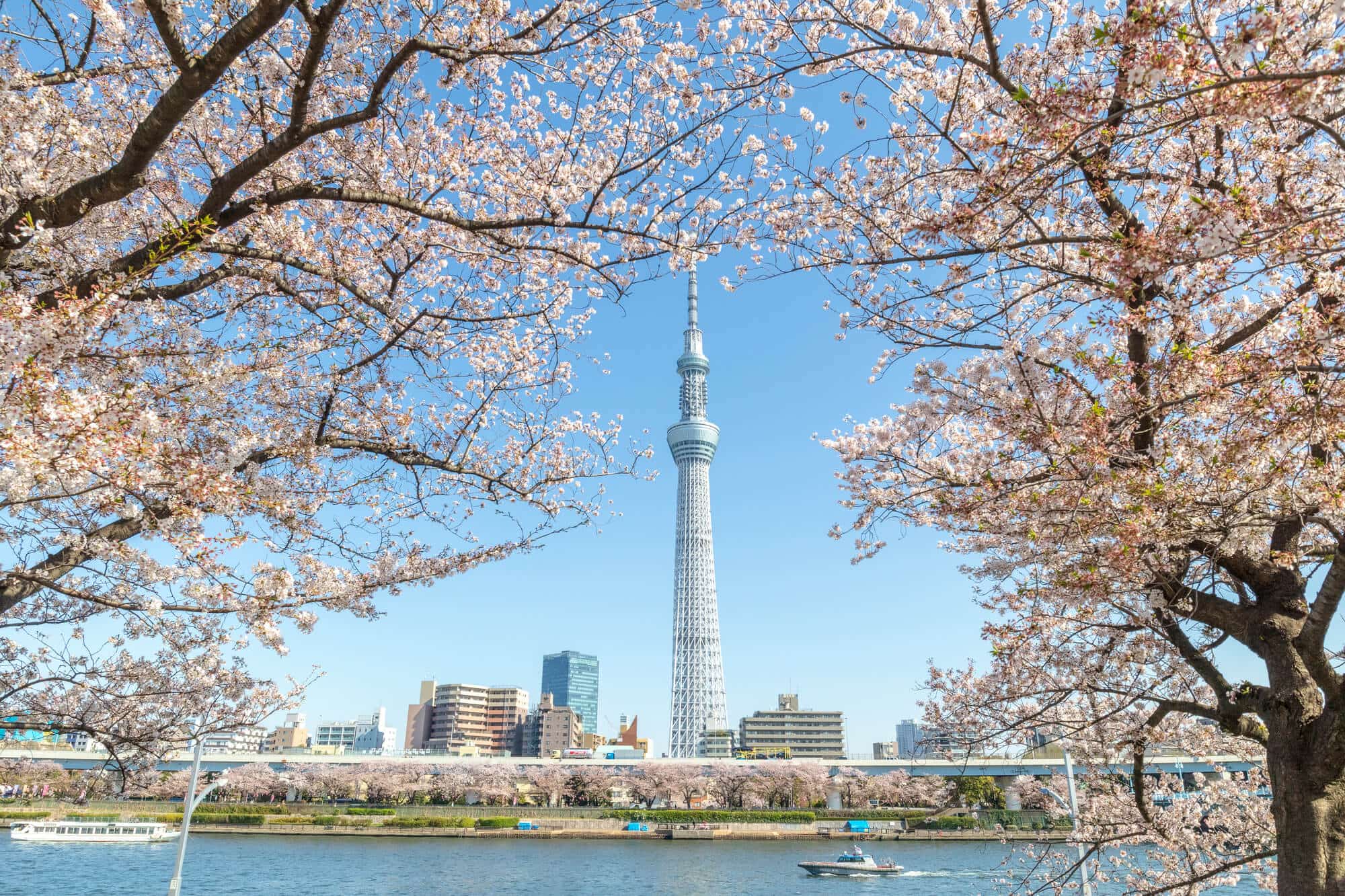 Du lịch Nhật Bản tham quan Tokyo - Thái An Travel