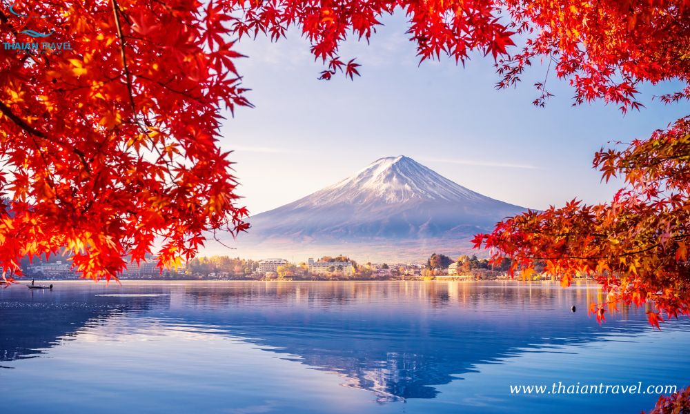 Tour mùa thu Nhật Bản: HÀ NỘI- OSAKA –KOBE – KYOTO– NÚI PHÚ SĨ – TOKYO - Thái An Travel - 11