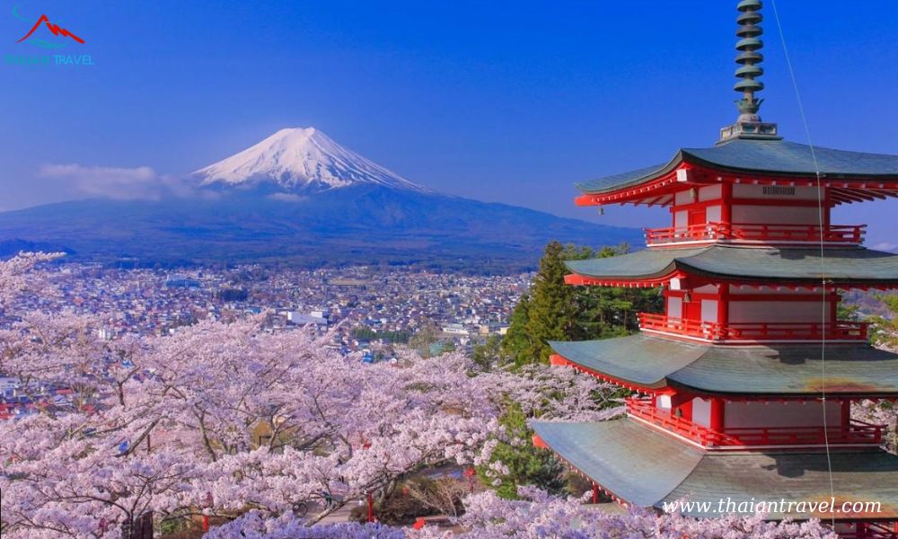 Tour mùa thu Nhật Bản: HÀ NỘI- OSAKA –KOBE – KYOTO– NÚI PHÚ SĨ – TOKYO - Thái An Travel - 13