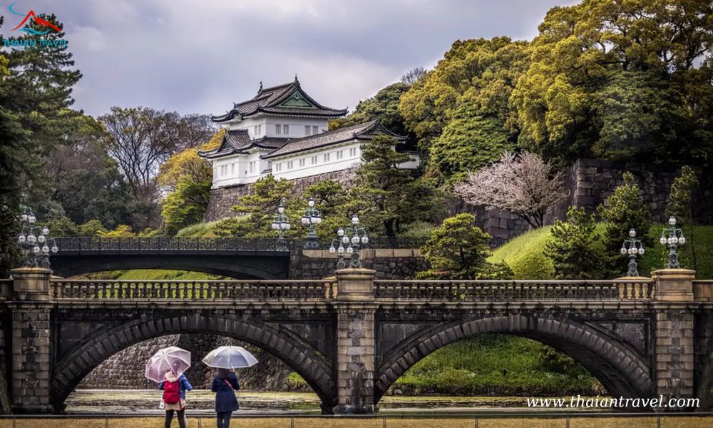 Tour mùa thu Nhật Bản: HÀ NỘI- OSAKA –KOBE – KYOTO– NÚI PHÚ SĨ – TOKYO - Thái An Travel - 18