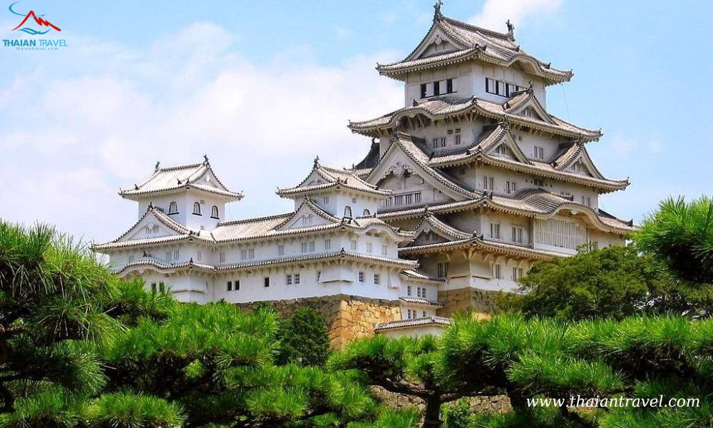 Tour mùa thu Nhật Bản: HÀ NỘI- OSAKA –KOBE – KYOTO– NÚI PHÚ SĨ – TOKYO - Thái An Travel - 19