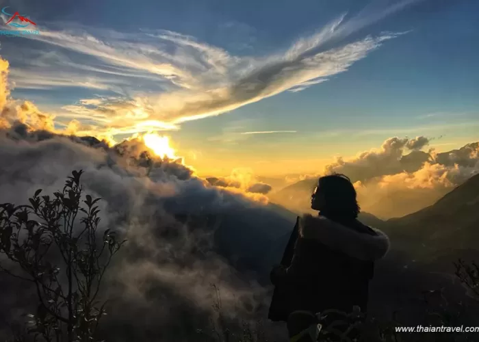 Săn mây ở Sapa - Thái An Travel