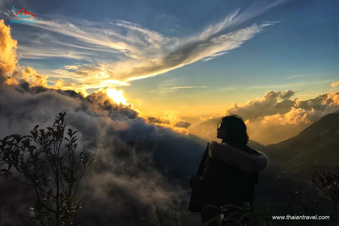 Săn mây ở Sapa - Thái An Travel