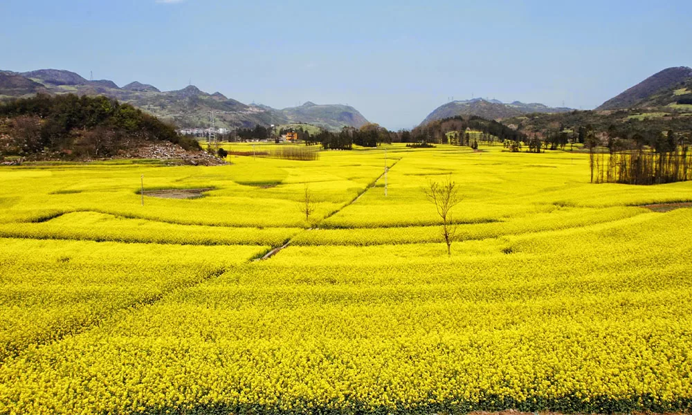 top-con-minh Top 7 địa điểm du lịch Vân Nam cực HOT