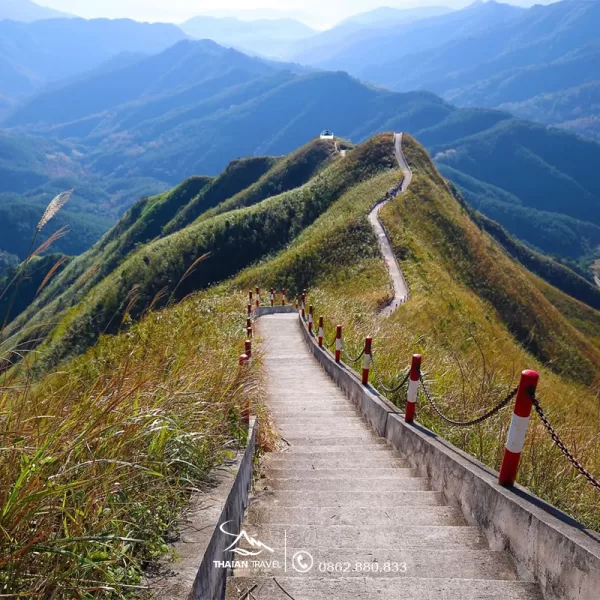 Tour Bình Liêu 2 ngày 1 đêm mùa cỏ lau chinh phục sống lưng khủng long