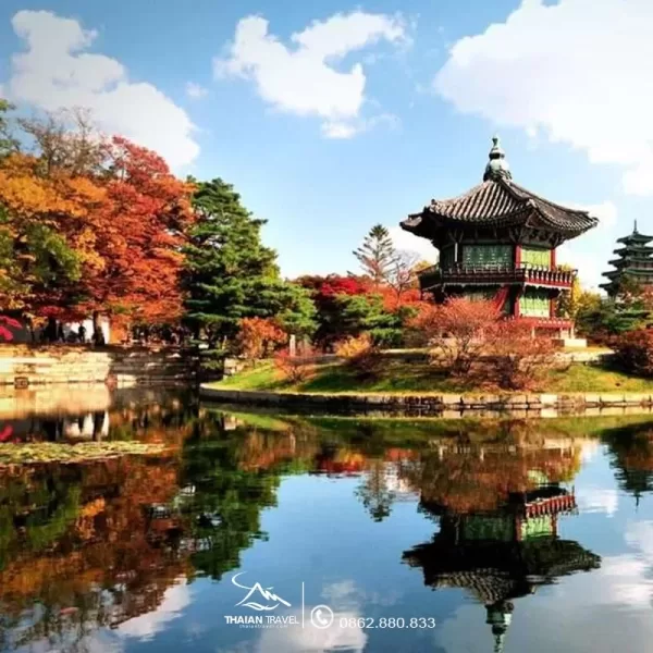 Tour Hàn Quốc 7 ngày 6 đêm: Seoul - Jeju - Busan - Nami  từ Hà Nội