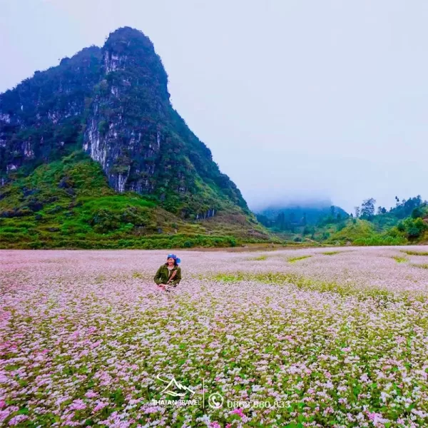 Tour Hà Giang 3 ngày 2 đêm - Tour Hà Giang, Cao nguyên đá Đồng Văn