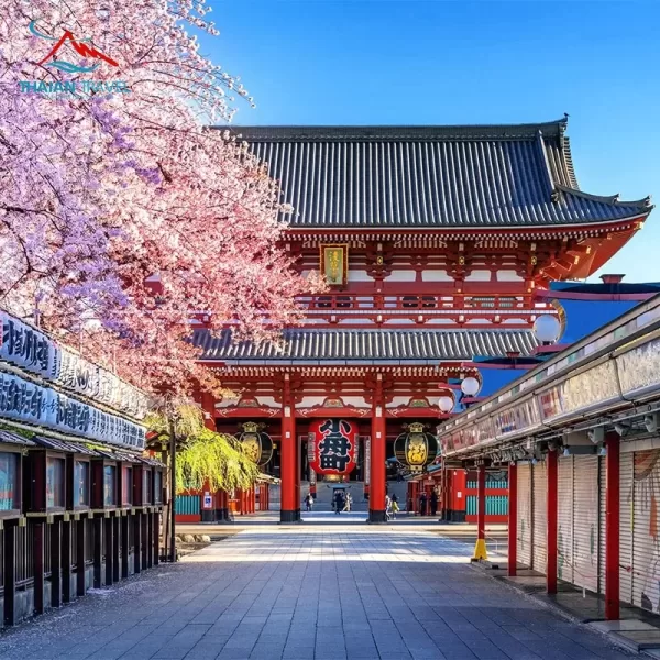 Tour VIP Nhật Bản cung đường đặc biệt: OSAKA - WAKAYAMA - HYOGO - KYOTO - SHIRAKAWAGO - NAGOYA