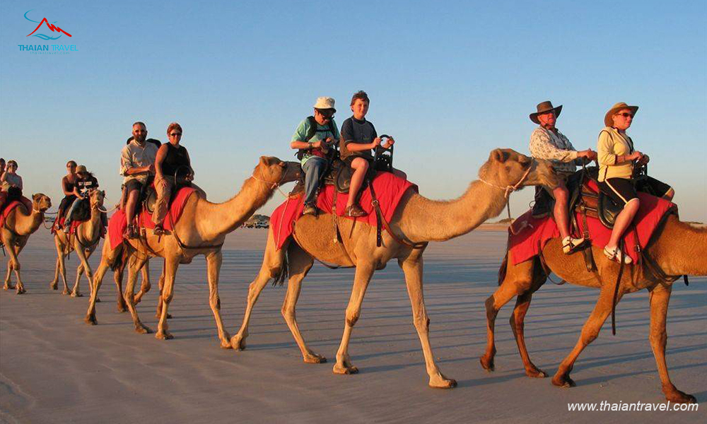Trải nghiệm du lịch Dubai - Sa mạc Safari 4