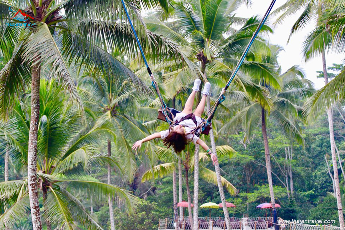 Bali Swing - Thái An Travel - 5