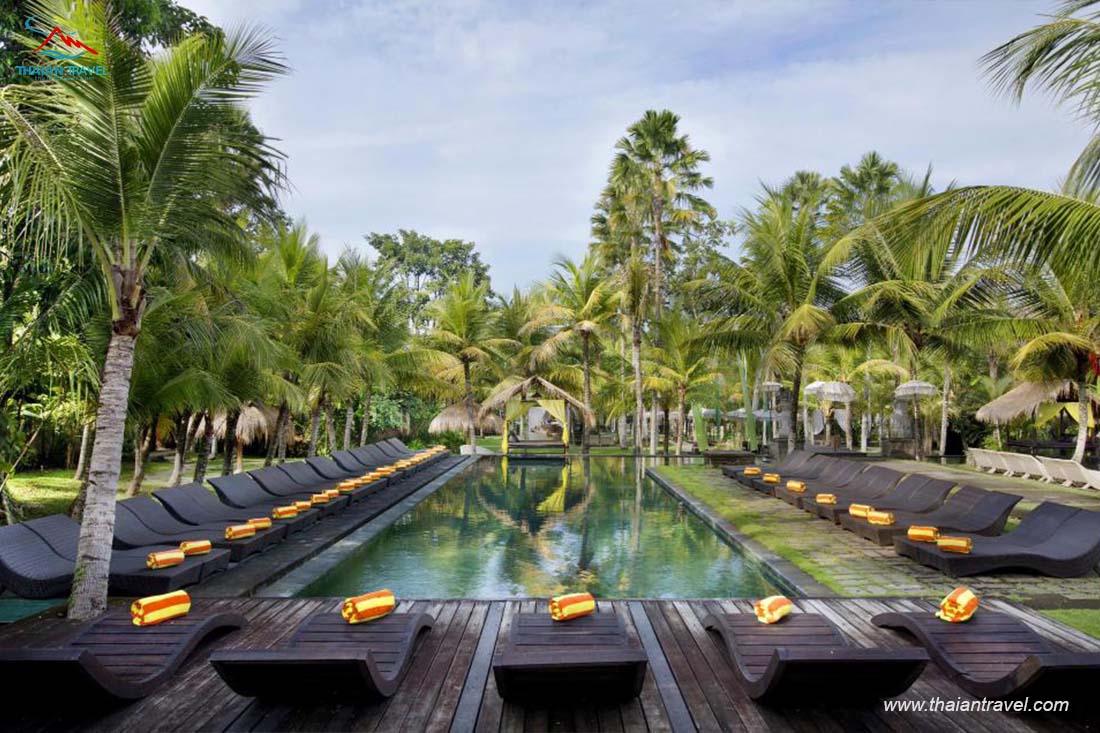 Du lịch Ubud, Villa khách sạn, resort đẹp nhất ở Ubud - Thái An Travel - 10