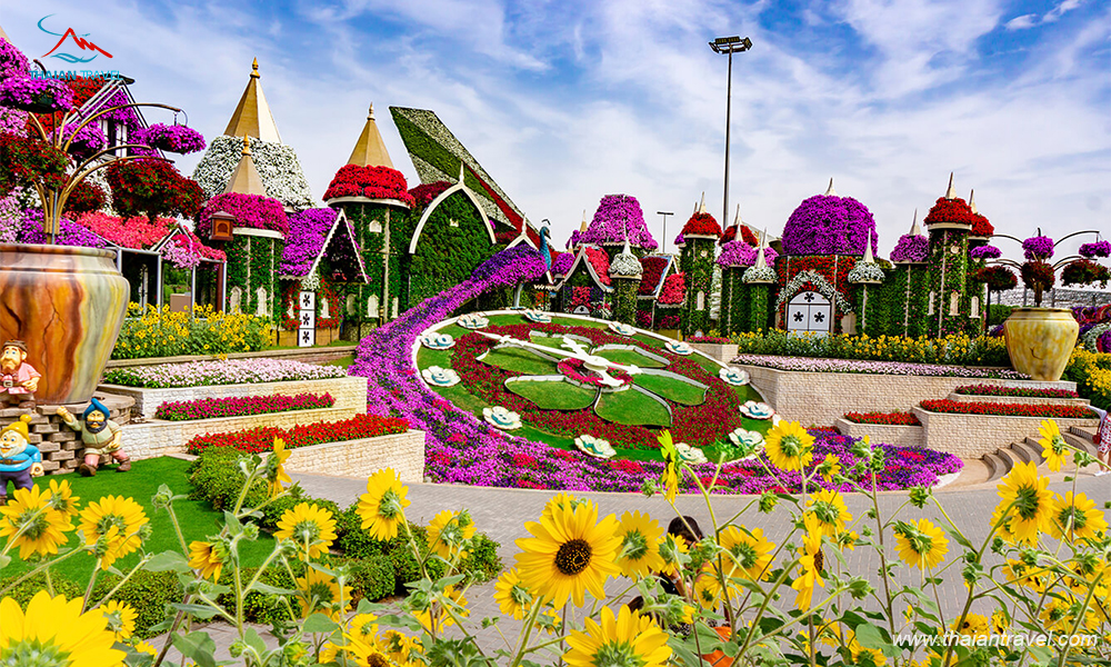 Vườn hoa Dubai Miracle Garden 5