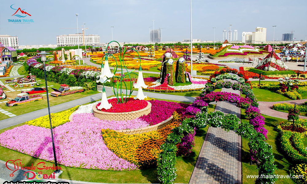 Vườn hoa Dubai Miracle Garden 6