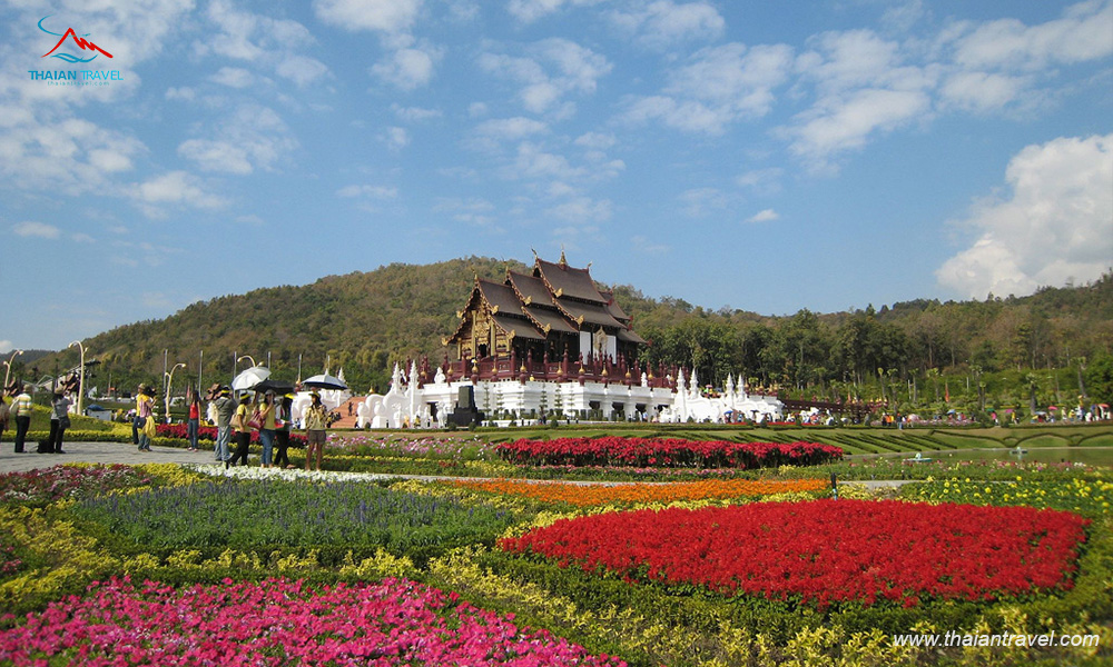 Tour Chiang Mai - Chiang Rai - Thái An Travel - 4