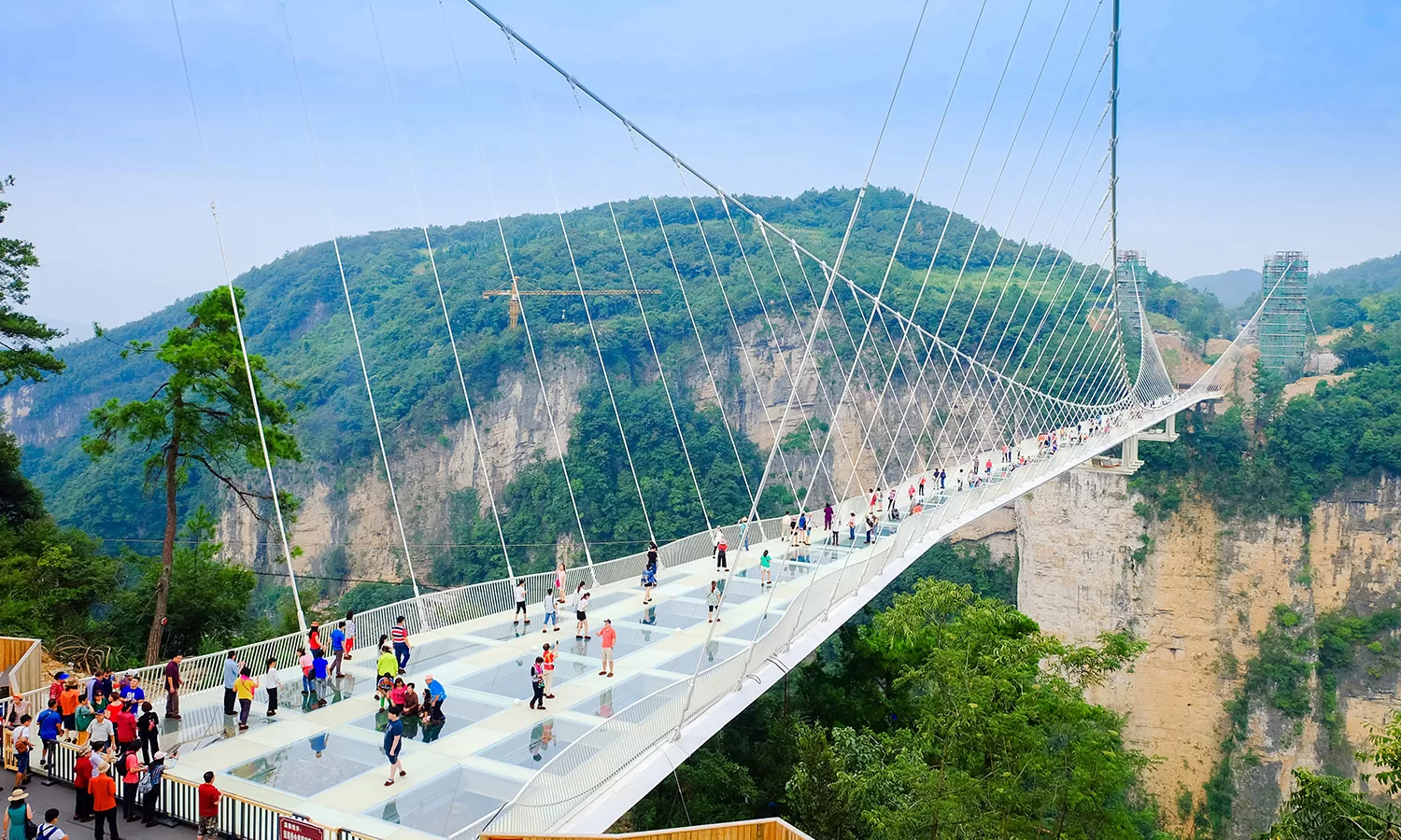 zhangjiajie-skywalk-glass-480962020 quy-chau-manh-dat-cua-nhung-cay-cau-cao-nhat-the-gioi-o-trung-quoc