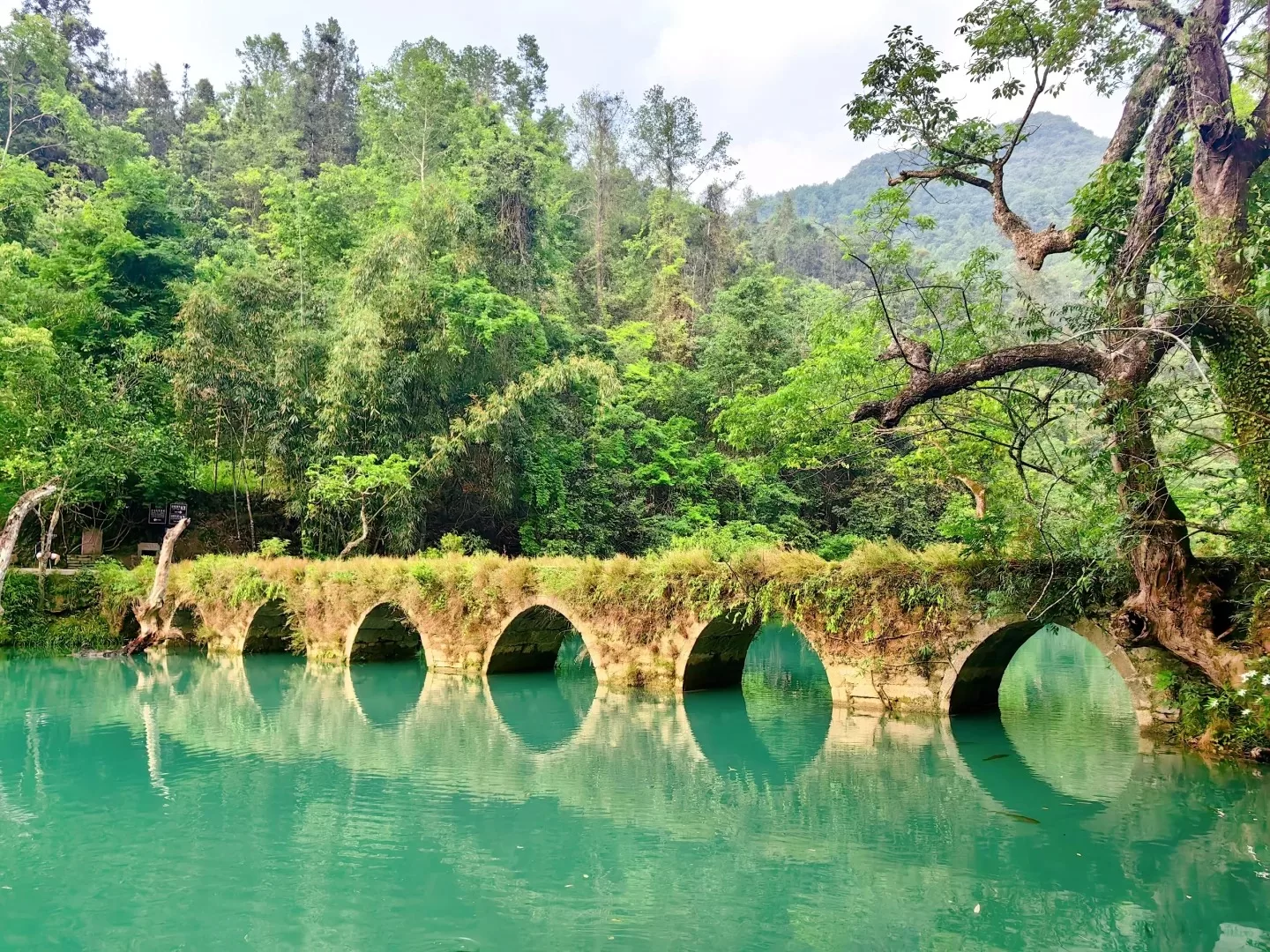 Tour Quý Châu Trung Quốc 5 ngày 4 đêm - Thái An Travel  - Tiểu Thất Khổng