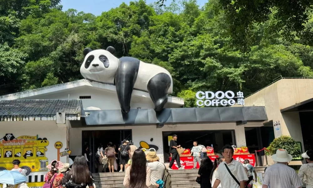 công viên gấu trúc Trùng Khánh – ava