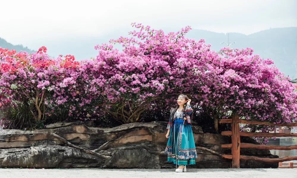 tour du lịch châu hồng hà 2024