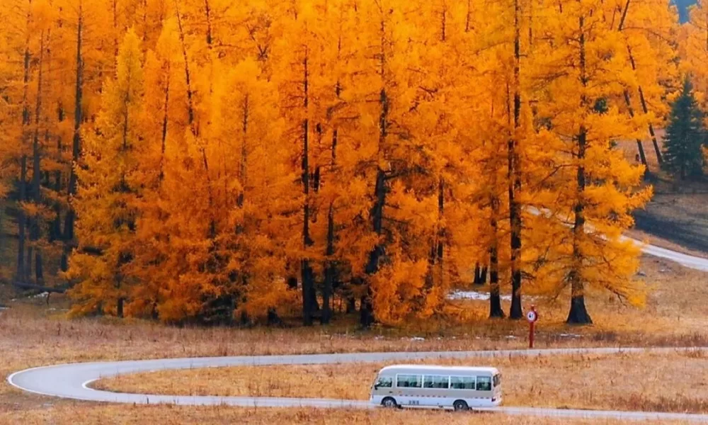 Khu bảo tồn thiên nhiên Kanas Tân Cương