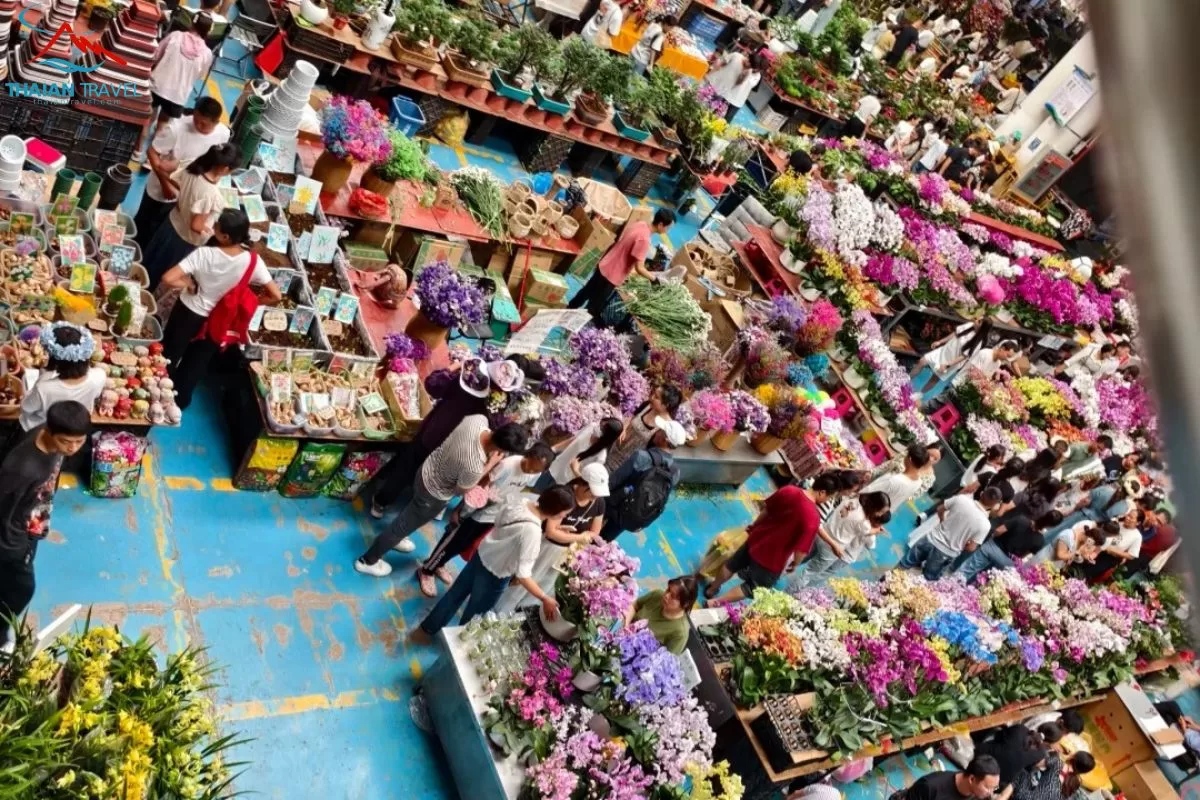 chợ hoa Đấu Nam - Tour Côn Minh - Kiệu Tử Sơn 