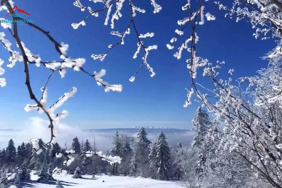 Làng tuyết Snow Ridge - làng cổ tích ở Trường Bạch Sơn - Thái An Travel 9