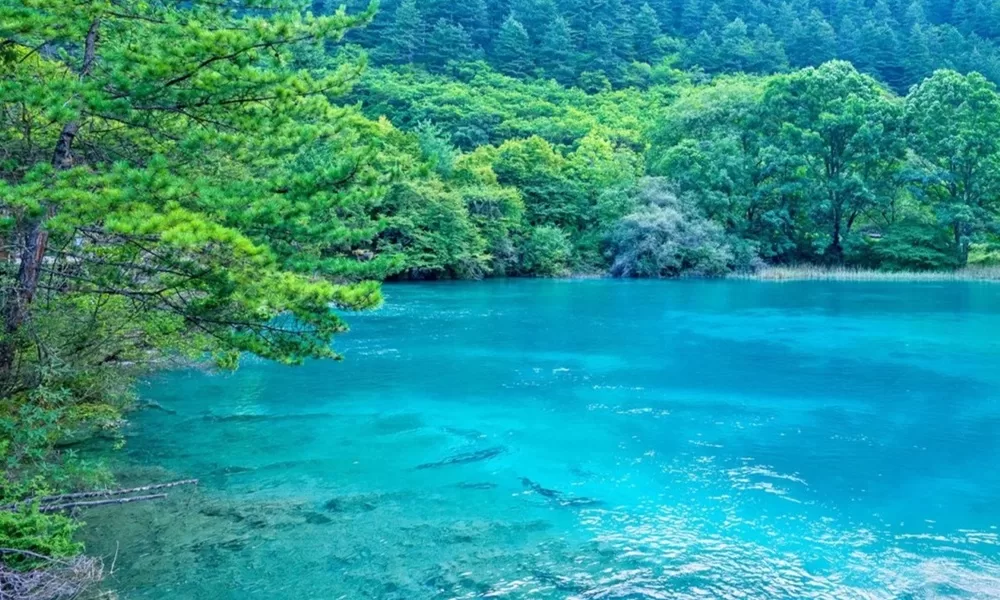 hồ Song Long – cửu trại câu