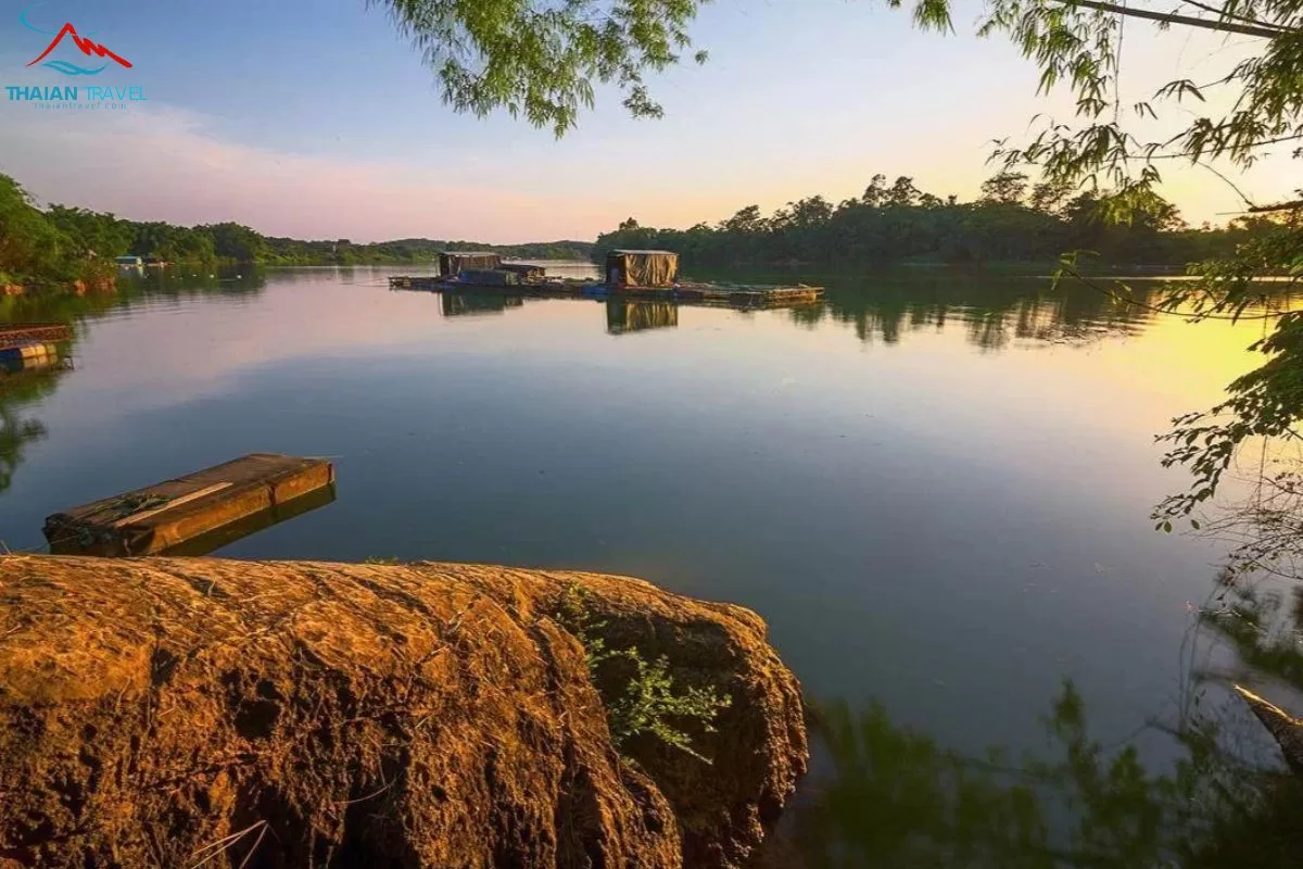 Yangmei - Nam Ninh