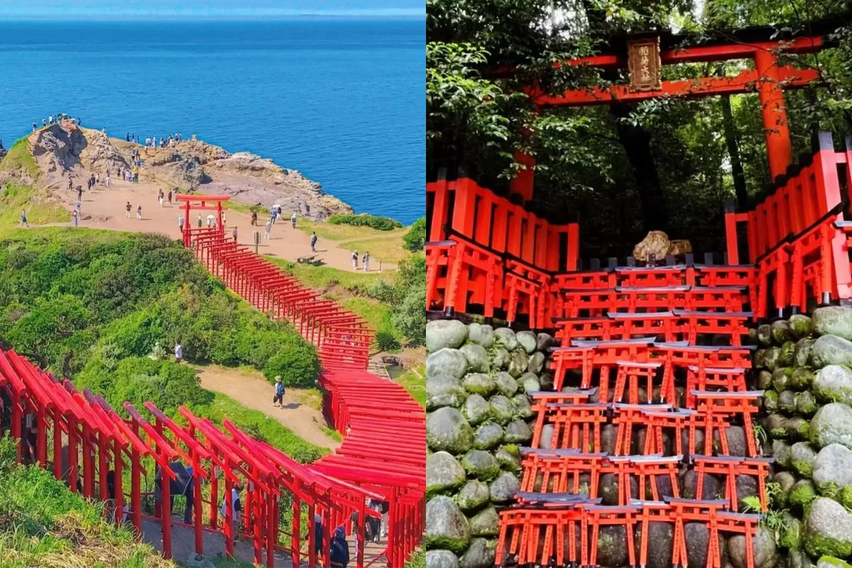 Đền ngàn cổng Fushimi Inari  - Kyoto, Nhật Bản _Thái An Travel (1)