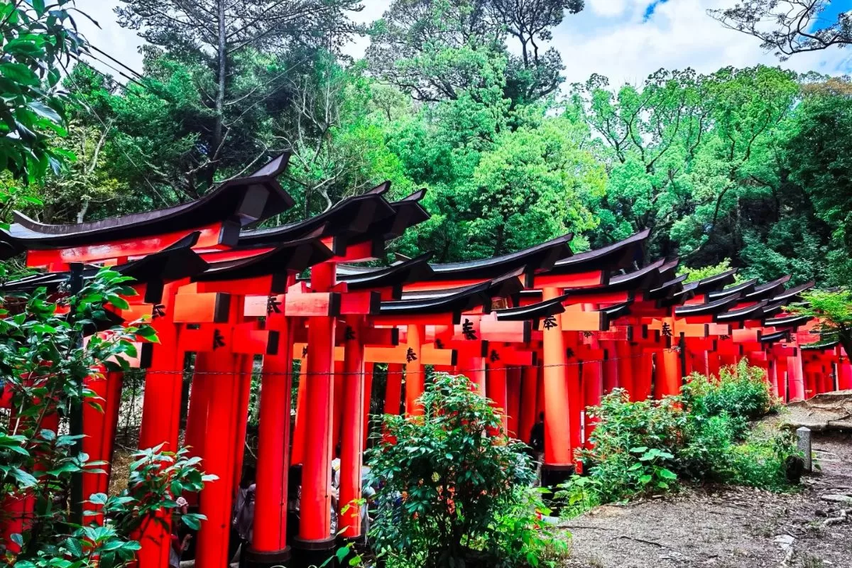 Đền ngàn cổng Fushimi Inari  - Kyoto, Nhật Bản _Thái An Travel