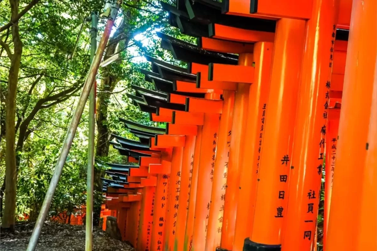 Senbon Torri -Đền ngàn cổng Fushimi Inari  - Kyoto, Nhật Bản _Thái An Travel