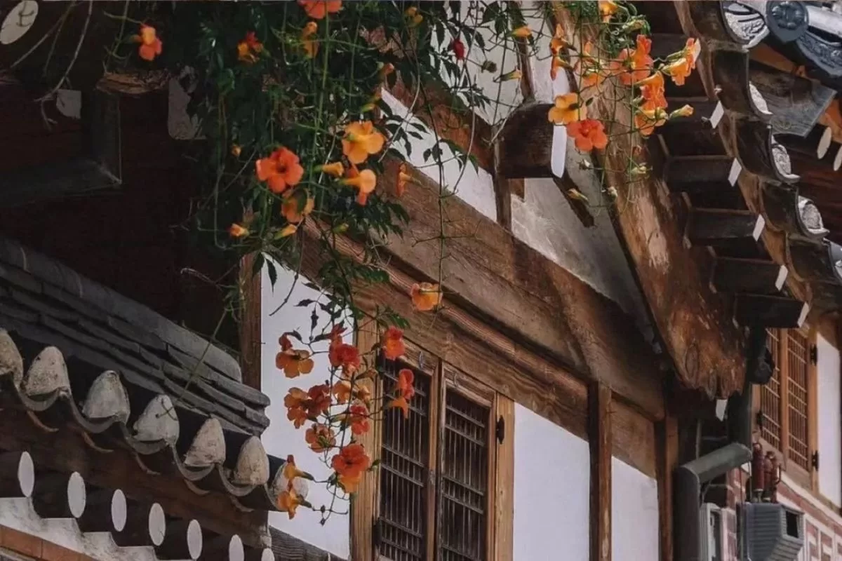 Làng Bukchon Hanok - Seoul - Hàn Quốc - tour Hàn Quốc - thaiantravel.com (3)