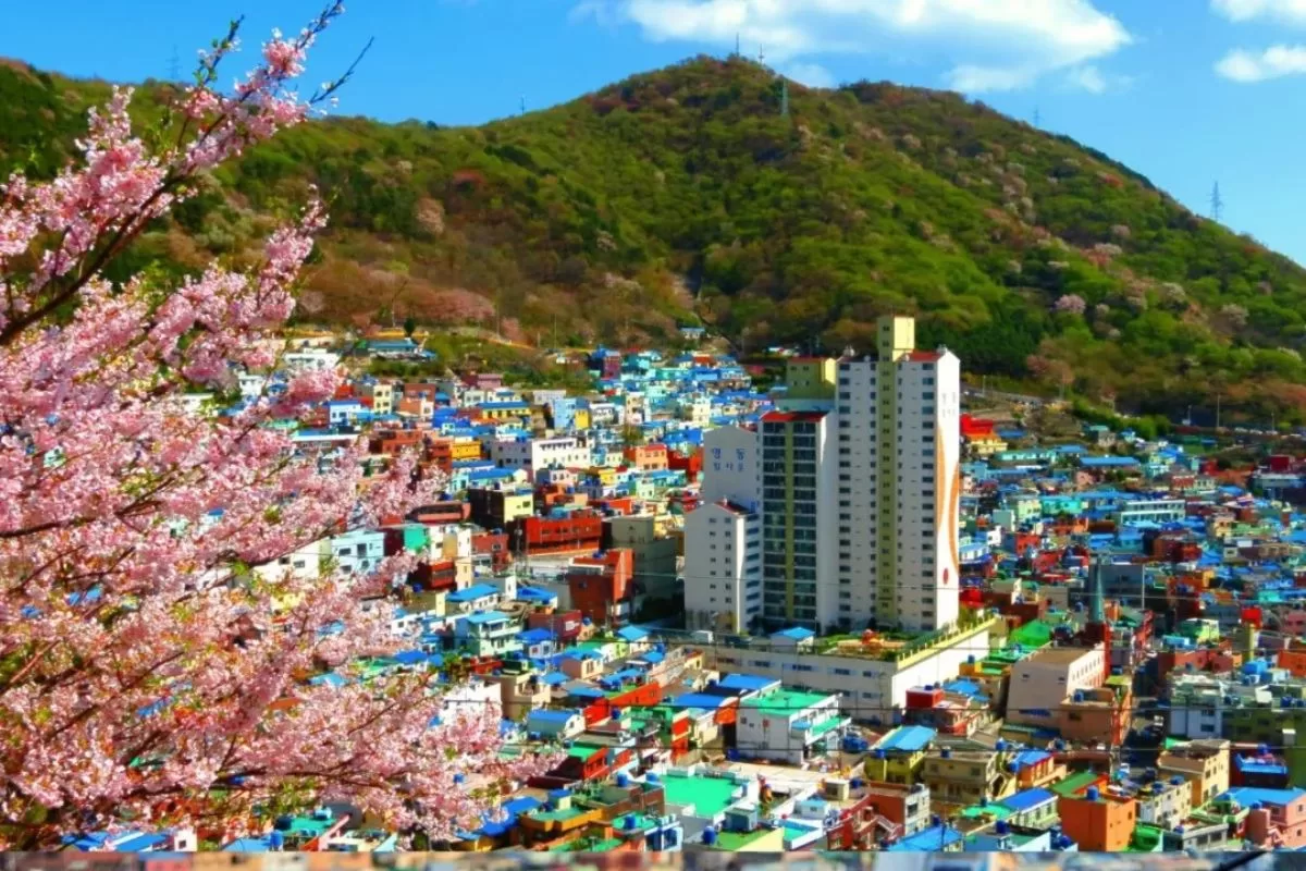 Làng văn hóa Gamcheon – Busan, Hàn Quốc (2)