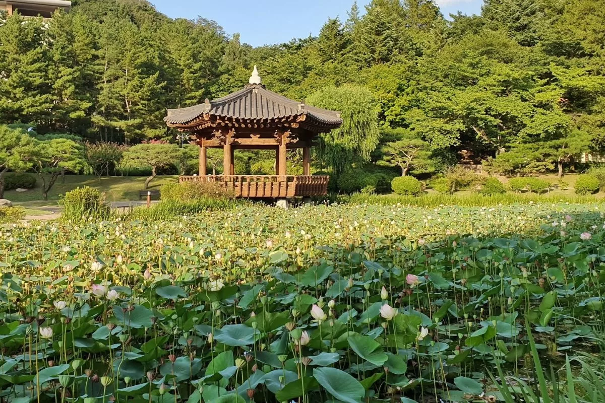 Vọng lâu Bomun - tour Hàn Quốc ngắm anh đào  - mùa hè