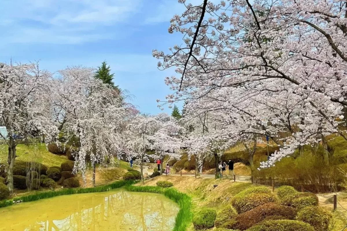 Vọng lâu Bomun - tour Hàn Quốc ngắm anh đào - mùa xuân