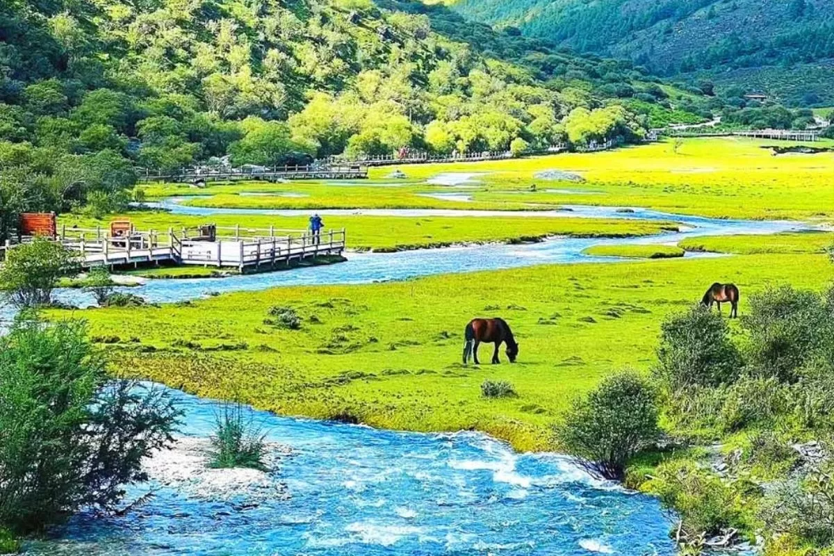 Đạo Thành Á Đinh - du lịch Tây Xuyên ( Tây Tứ Xuyên)