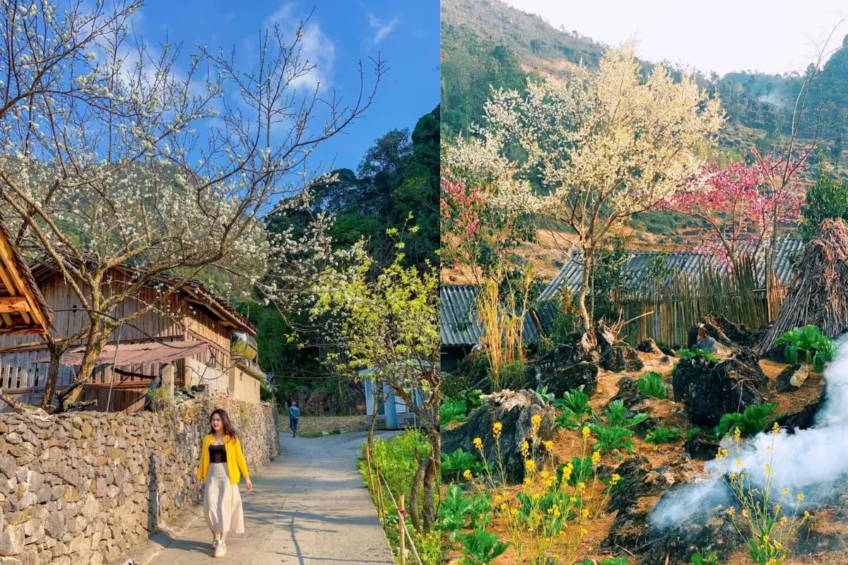 Lô Lô Chải - Làng du lịch tốt nhất thế giới 2025 - Thái An Travel