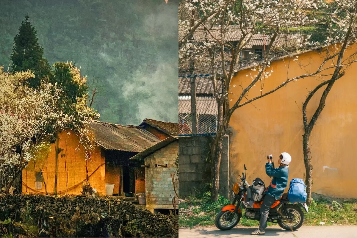 Lô Lô Chải - Làng du lịch tốt nhất thế giới 2025 - Thái An Travel (3)
