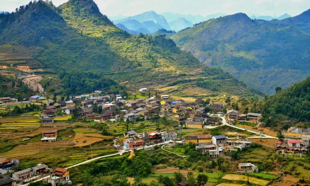 Lô Lô Chải – ava