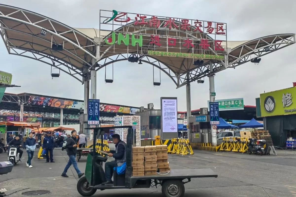 Top 10 chợ buôn lớn nhất Quảng Châu - chợ rau quả Giang Nam