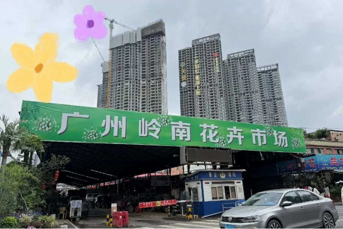 Top 10 chợ buôn lớn nhất Quảng Châu - chợ buôn hoa
