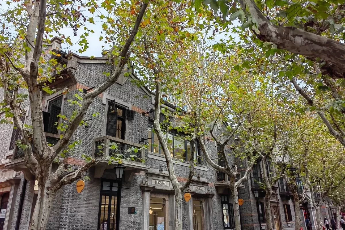 Tân Thiên Địa Thượng Hải _ Thái An Travel (7)