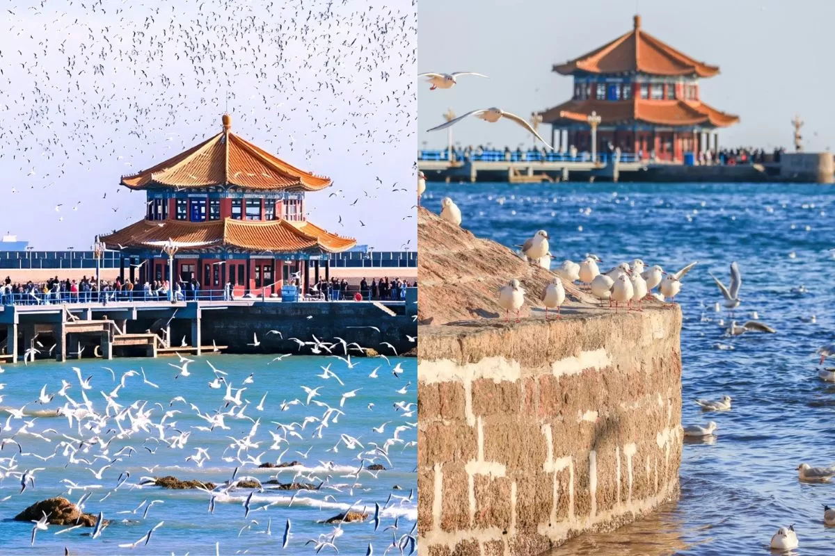 bến tàu Trạm Kiều - Thanh Đảo _ tour Tế Nam Sơn Đông (11)