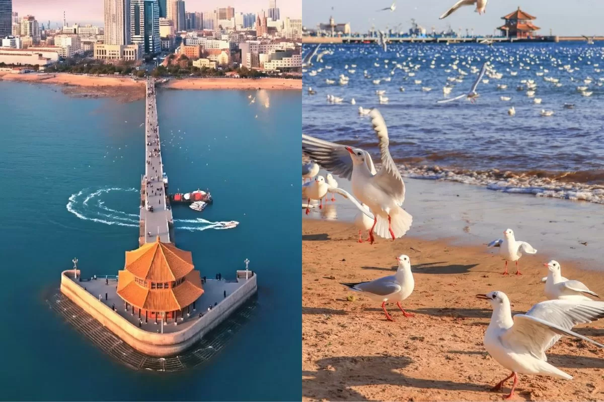 bến tàu Trạm Kiều - Thanh Đảo _ tour Tế Nam Sơn Đông (5)