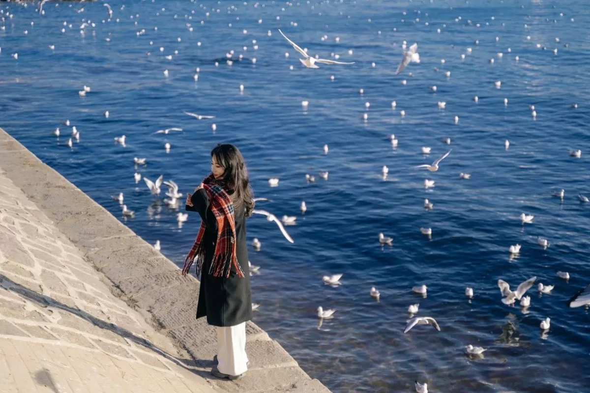 bến tàu Trạm Kiều - Thanh Đảo _ tour Tế Nam Sơn Đông (12)